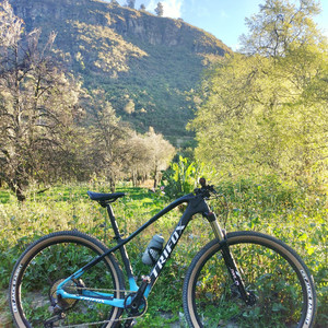 Trifox MTB